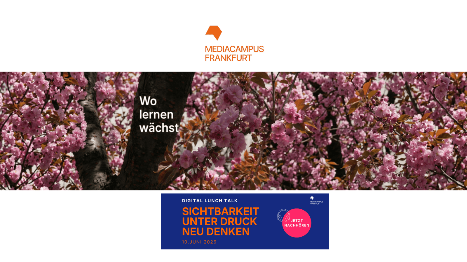 Digital Lunch Talk Media Campus Frankfurt Sichtbarkeit unter Druck neu denken